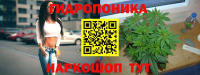 2c-b Кандалакша