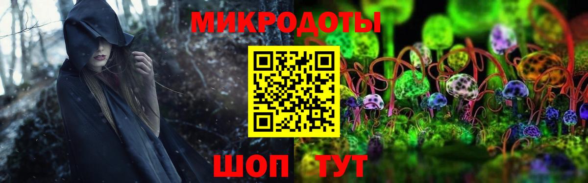 Ленинск-Кузнецкий  Псилоцибиновые грибы прущие грибы  Вход с VPN 